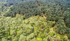 gambar_2024-01-24_073237777