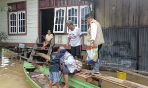 image_2024-01-18_145452456