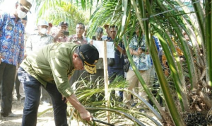 image_2024-07-26_183811874