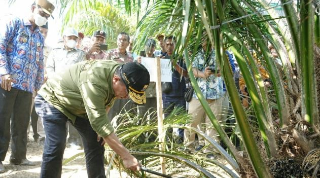 image_2024-07-26_183811874