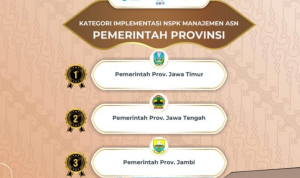 image_2024-11-25_195533233