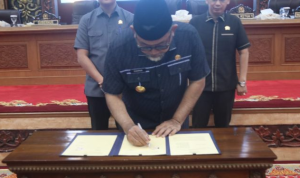 image_2024-11-26_193344799