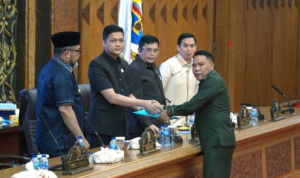 image_2024-11-26_203955150