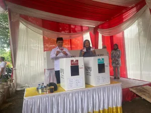 image_2024-11-28_190425156