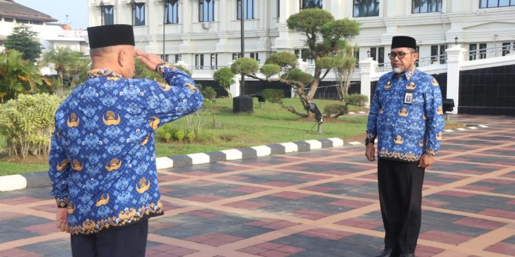 image_2025-03-11_193632960