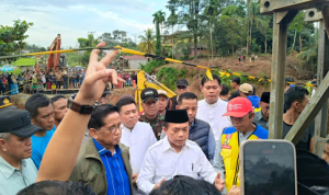 image_2025-03-17_185816336