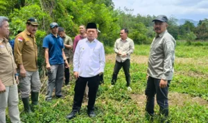 gambar_2026-03-12_125111625