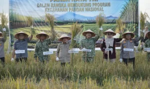 gambar_2026-07-20_151345158